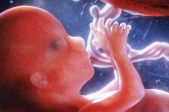 14 неделя беременности: что происходит с малышом и телом матери